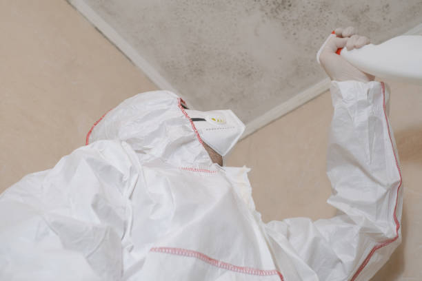 Best Bathroom Mold Remediation in Hartsdale, NY